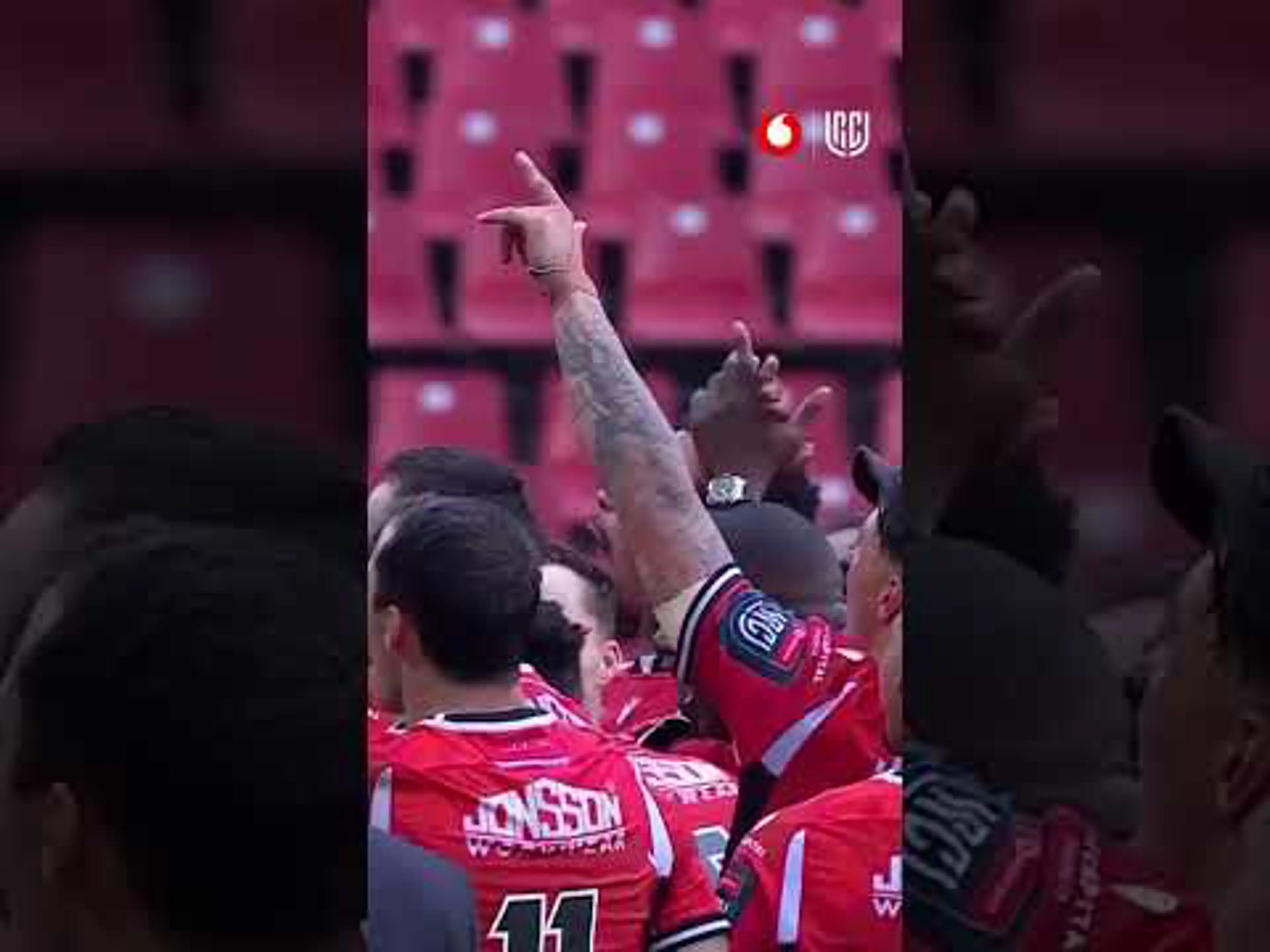 The Lions lift the SA Shield