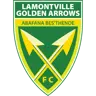 Golden Arrows logo