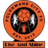 Polokwane City Reserves logo
