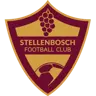 Stellenbosch FC logo