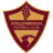 Stellenbosch FC logo
