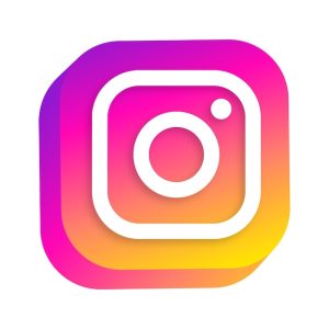 Beyond the Hype: Demystifying Private Instagram Viewer AI Algorithms